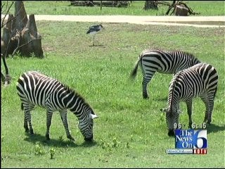 Tulsa Celebrates Zookeeper Appreciation Week