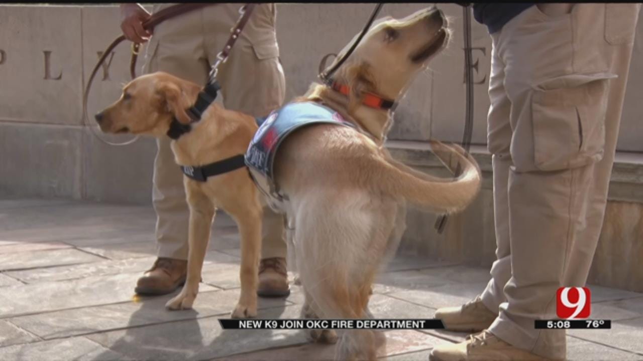 Switzer Dogs Help Complete OKCFD Search And Rescue Team