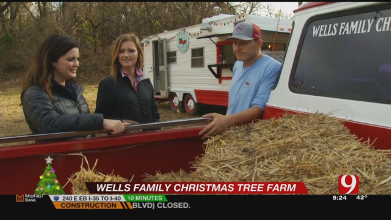 News 9's Lacie Lowry, Robyn King Visit Christmas Tree Farm