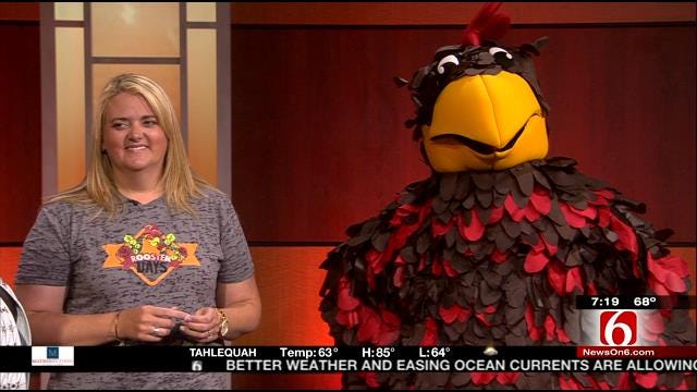 Roscoe T Rooster From Broken Arrow Rooster Days Visits 6 In The Morning