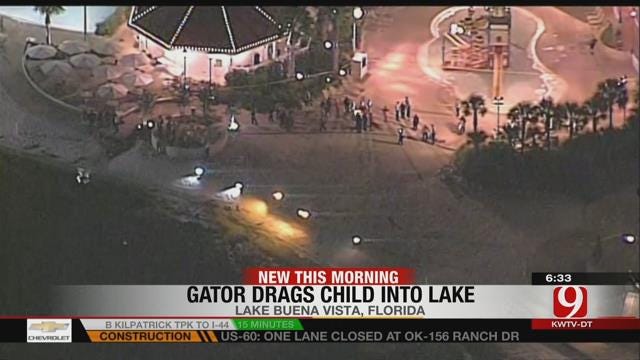 Alligator Drags Child Into Water At Disney Resort In Orlando
