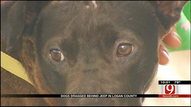 GRAPHIC: Dog Dragged Behind Vehicle Rescued In Logan County