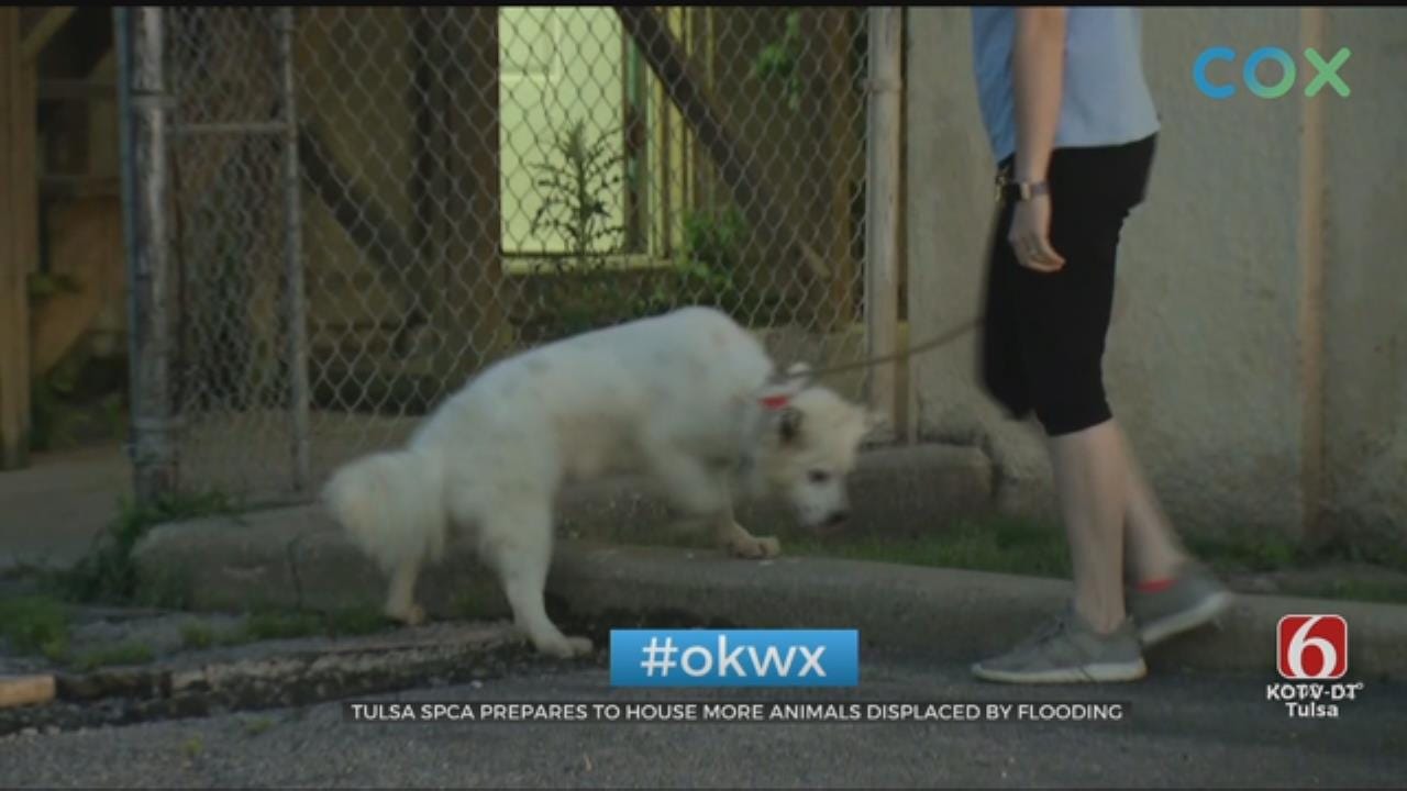Tulsa SPCA Making Room For Animals Displaced By Flooding