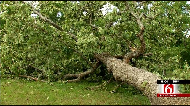 Okmulgee State Park EF-0 Tornado Does Surprising Amount Of Damage