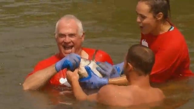 News On 6, News 9 Meet In First Ever Noodling 'Turnpike Tournament'