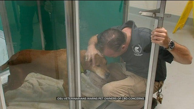 OSU Veterinarians Warn Pet Owners Of CBD Concerns