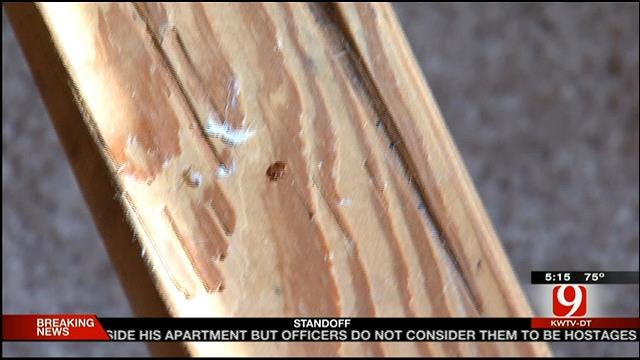 Bed Bug Infestation Forces OKC Woman Out Of Pine Ridge Apartments
