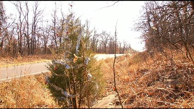 Lonely Little Christmas Tree Brings Holiday Spirit To Coyote Trail