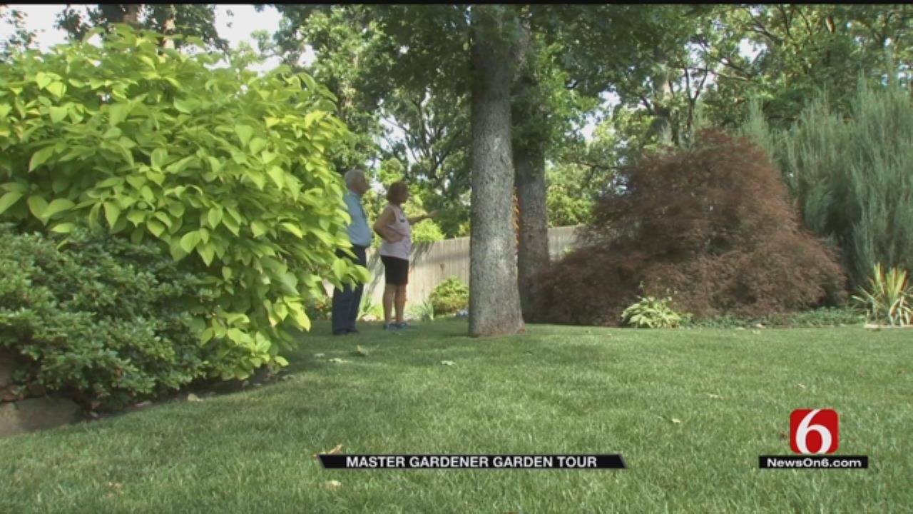 Tulsa Master Gardner Shows Off 110-Year-Old Family Plant