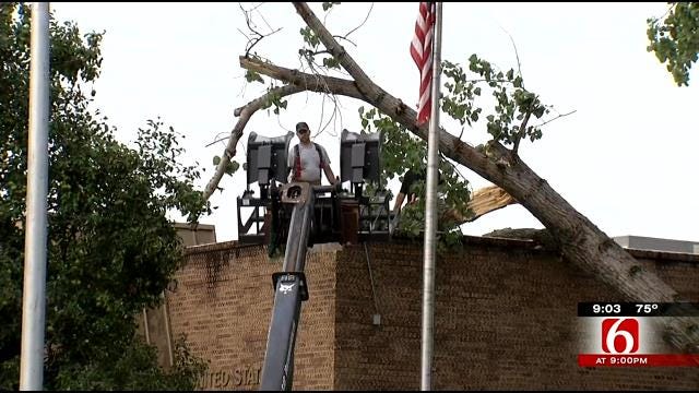 Storm Downs Trees, Leaves Some Damage In Adair