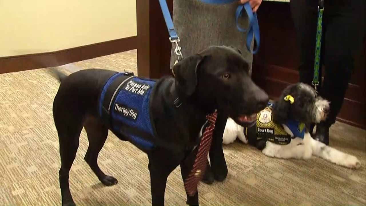Therapy Dogs Sworn In For Duty At Rogers County Courthouse