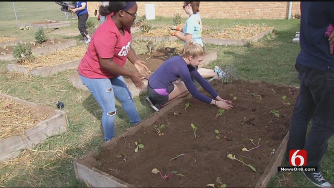 Volunteers, Tulsa Students Create Garden To Help Bees And Butterflies