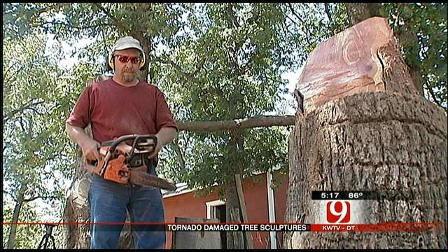 Tornado-damaged Trees In Norman Could Get Artistic Makeover