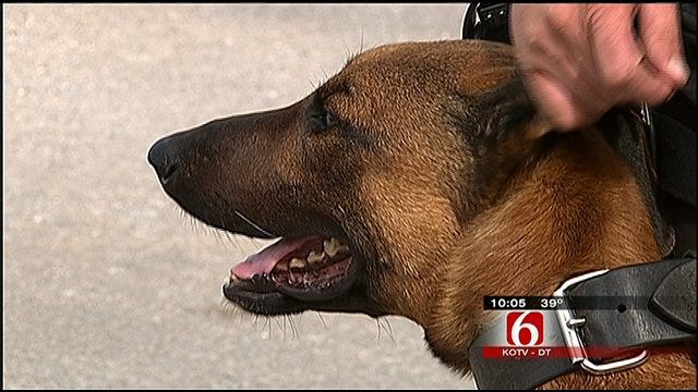 Delaware County Deputy, Family Escape Fire, But Dogs Die