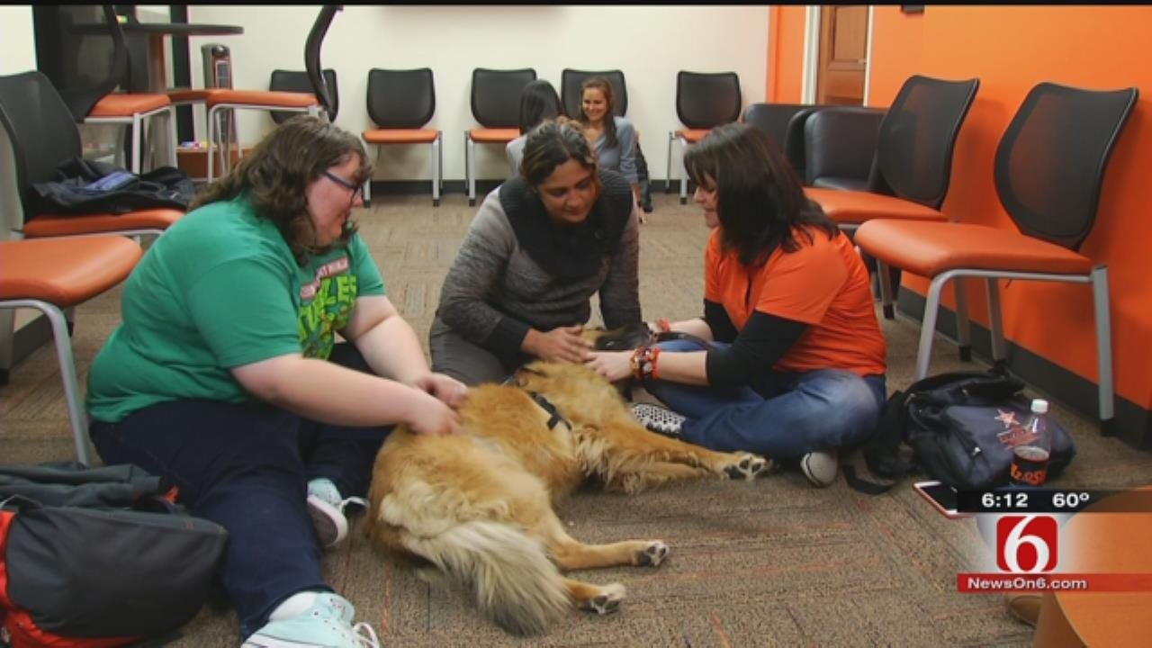Amid Tragedy, OSU's Pet Posse Provides Therapy To Grieving, Confused Students