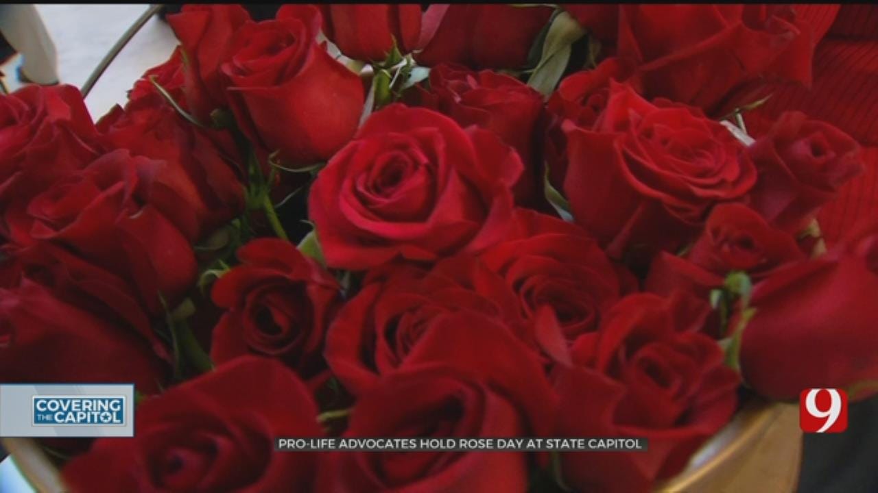 Anti-Abortion Advocates Hold Rose Day At State Capitol