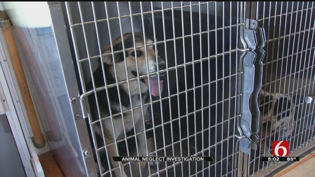 Multiple Animals Seized From Creek County Home For Second Time