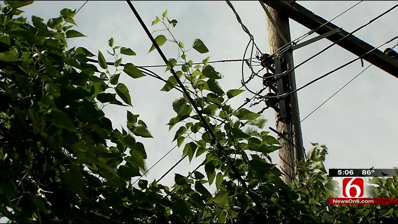 Tulsa Residents Can't Find Help For Ivy Covering Power Pole