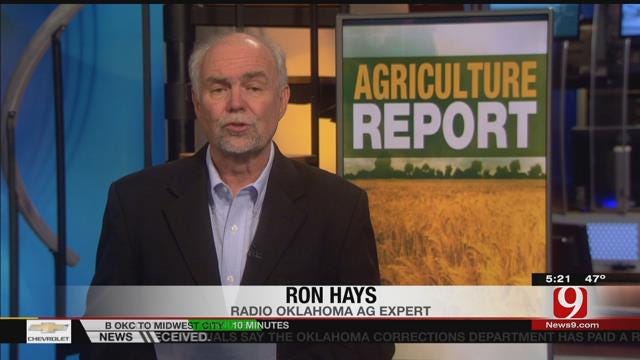 Agriculture Report: Exports Causing U.S. Troubles