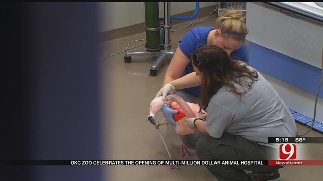 OKC Animal Hospital Gives Visitors An Inside Look At The OKC Zoo