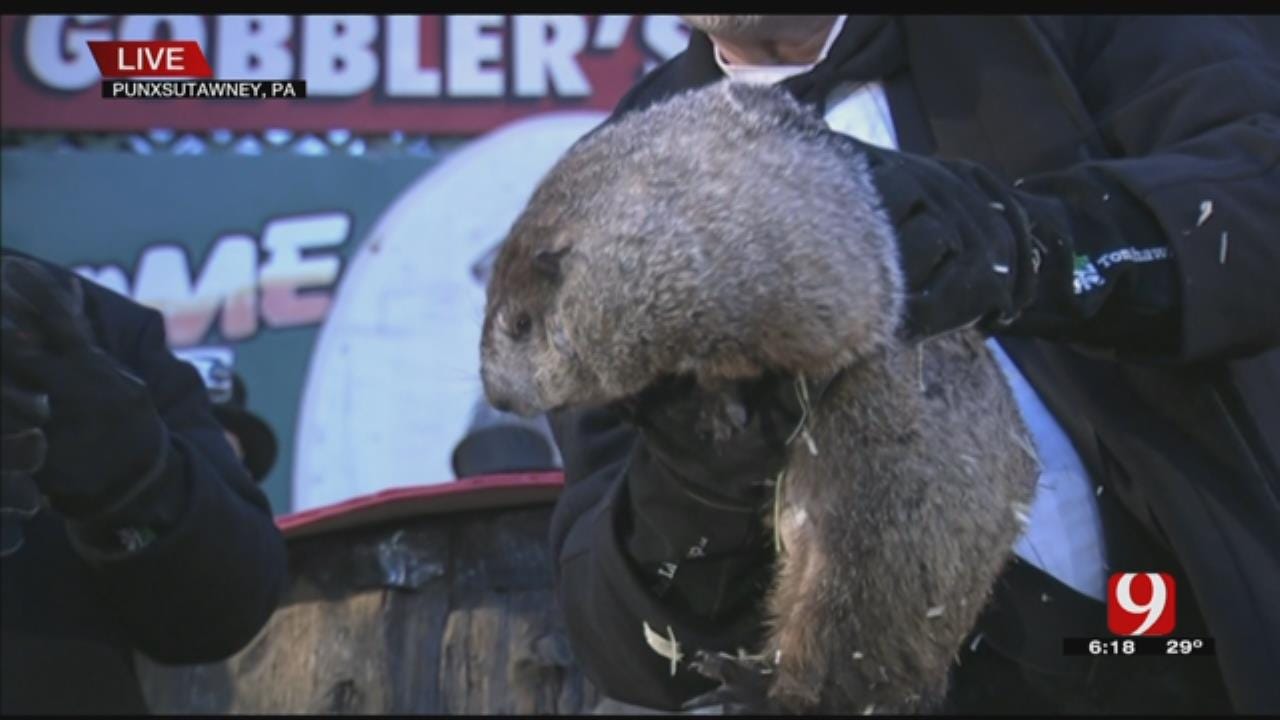 Pennsylvania Groundhog's Handlers: Phil Predicts More Winter