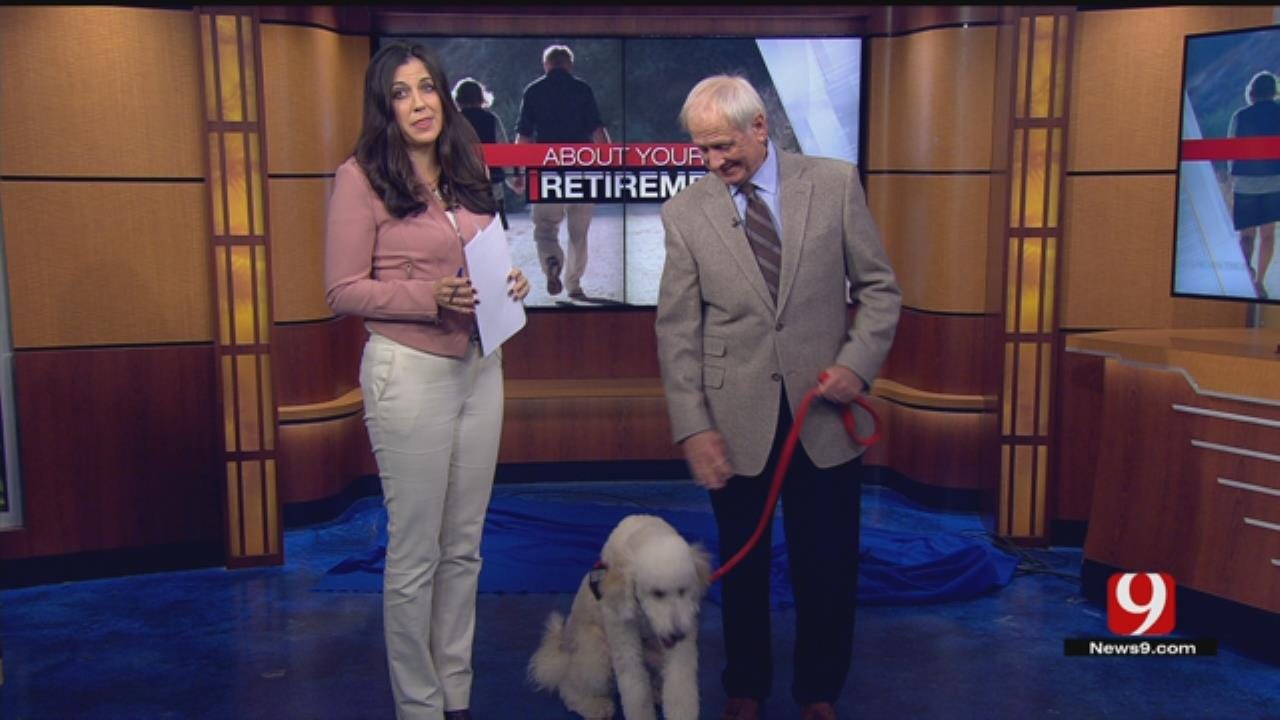 About Your Retirement: Service & Therapy Dogs
