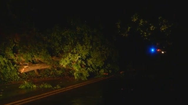 WEB EXTRA: Tree In Road On 91st East Of Sheridan