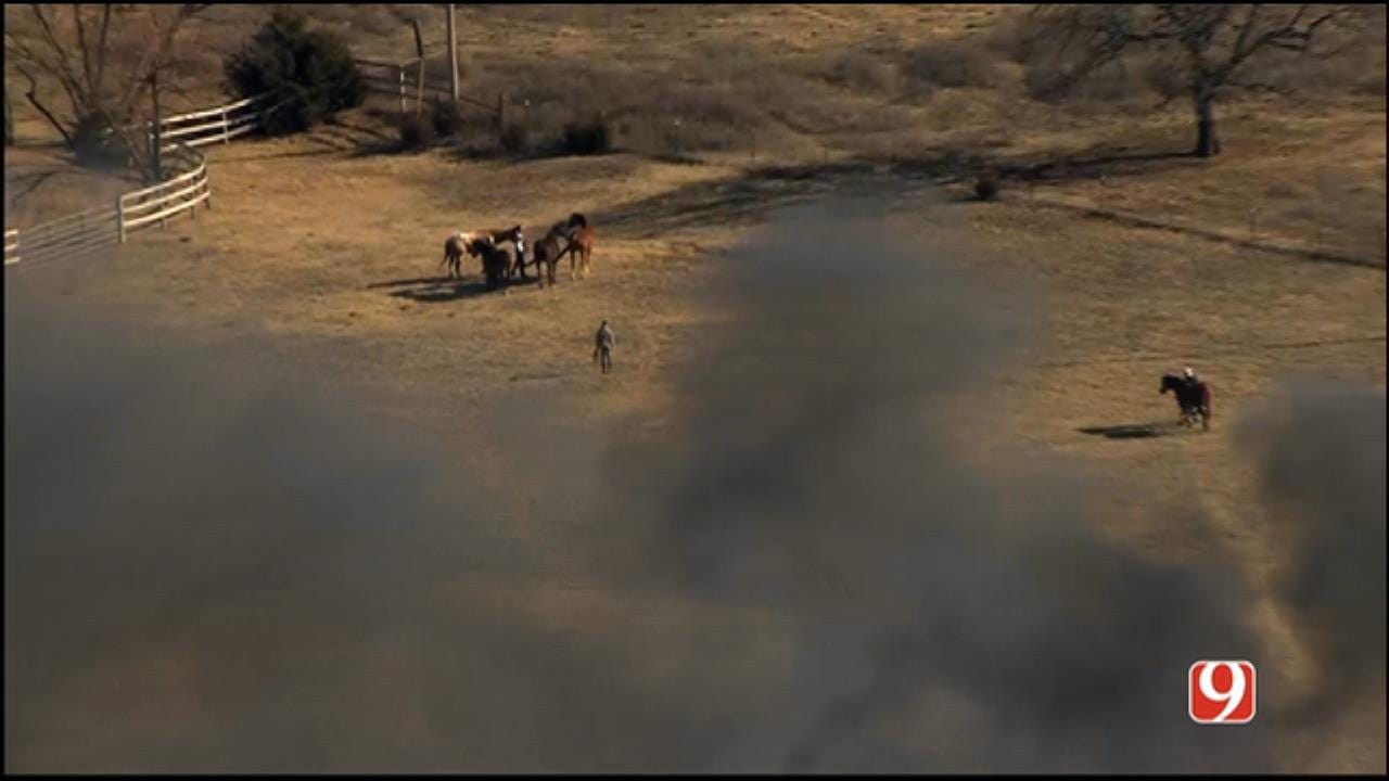 WEB EXTRA: SkyNews 9 Watches As Ranchers Evacuate Horses Near Wildfire