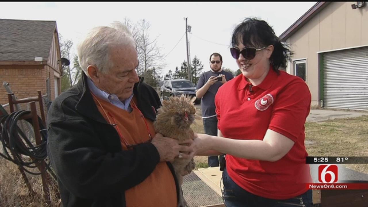 Program Lets Oklahomans Get Taste Of Farm Life By Renting Chickens