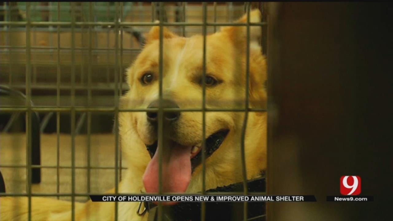 City Of Holdenville Opens New, Improved Animal Shelter