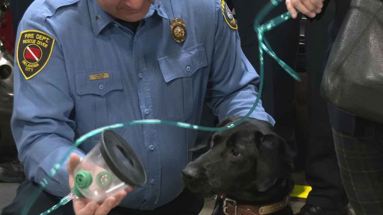 Oklahoma City Fire Department Receives Special Donation To Save Pets