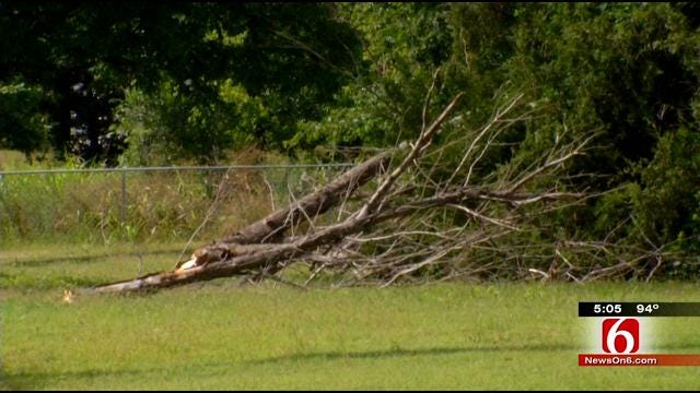 PSO Gets Power Back On In Vera After Storm