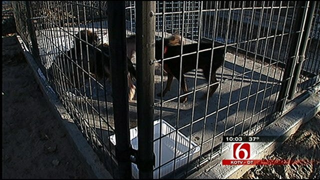 Puppy Mill Owners Dump Dogs At Tulsa Animal Shelter