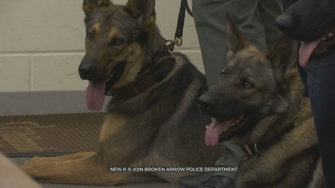 Broken Arrow Police Dogs Graduate From Training