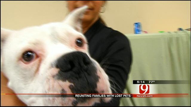 Oklahoma Storm Pets Still Searching For Their Homes