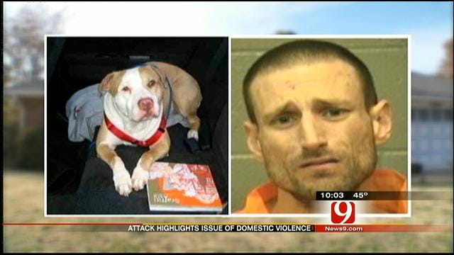 Dog Ordered To Attack Edmond Man's Girlfriend To Be Quarantined