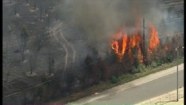 WEB EXTRA: SkyNews6 Catches Several Trees On Fire Near Frankhoma Road