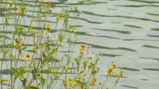 Woman Witnesses Drowning Death At Blue Hole Park