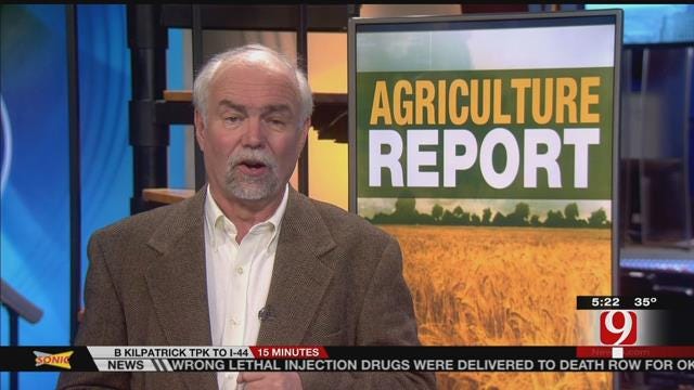 Agriculture Report: Current Crop Insurance Works Well