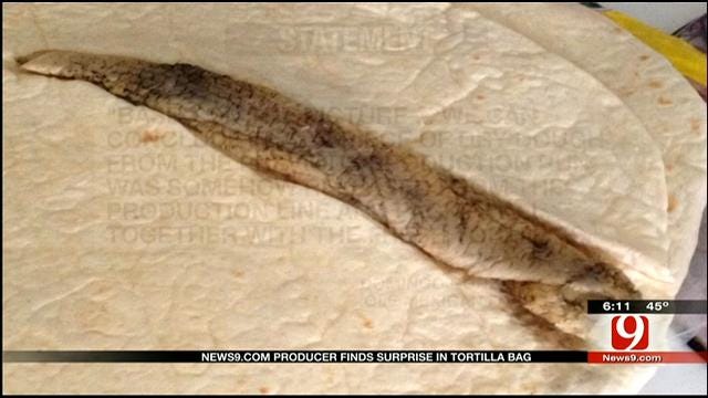 Reptile-Looking Tortilla Mystery Draws Concern In OKC