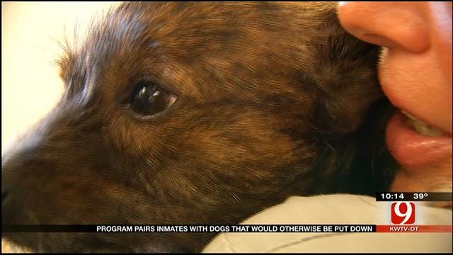 Program Pairs Inmates With Dogs At OK Correctional Facility