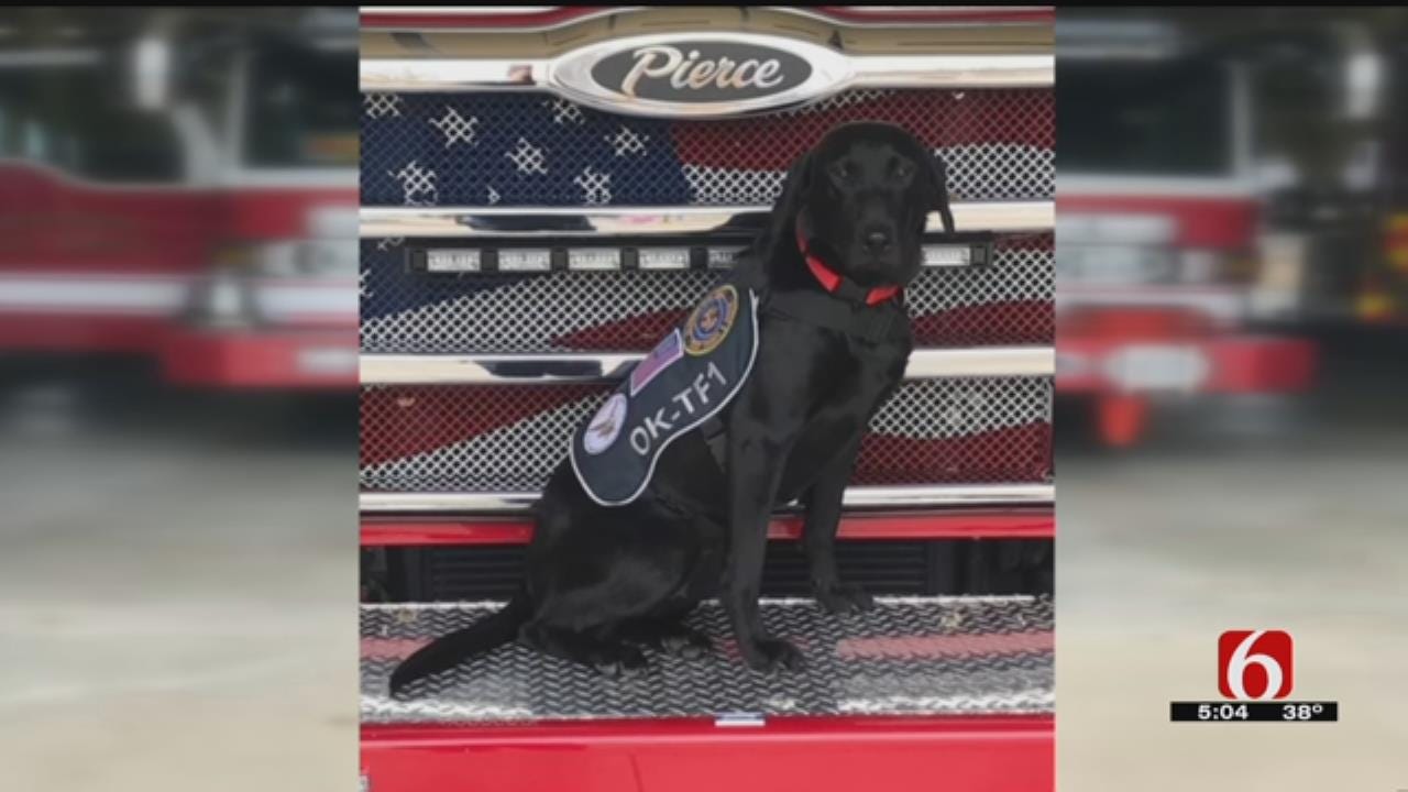 Owasso Fire Department Swears In First Search And Rescue Dog