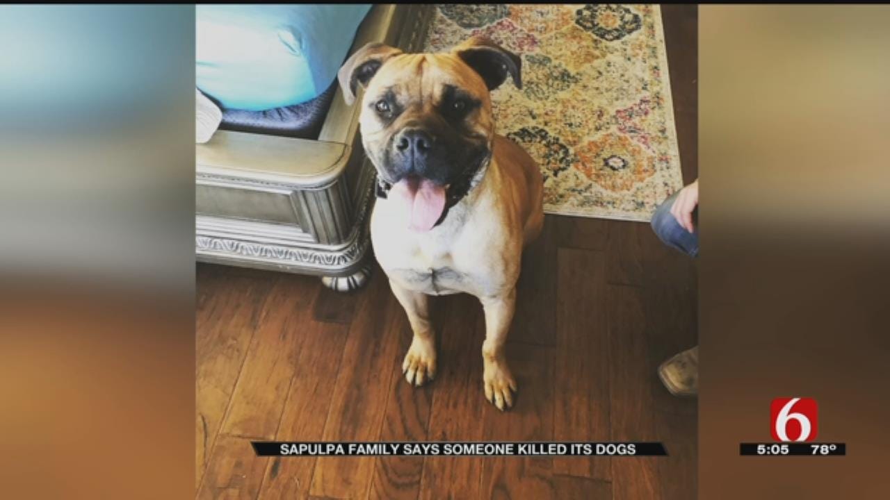 Sapulpa Family Wants Answers After Mysterious Dog Deaths