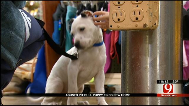 Abused OKC Pit Bull Puppy Finds A New Home