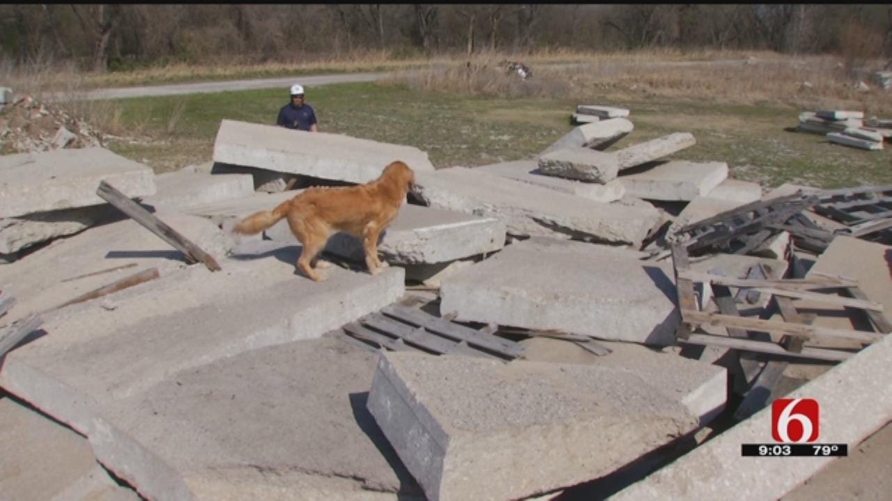 Search-And-Rescue Dogs Come To Tulsa To Train For Disasters