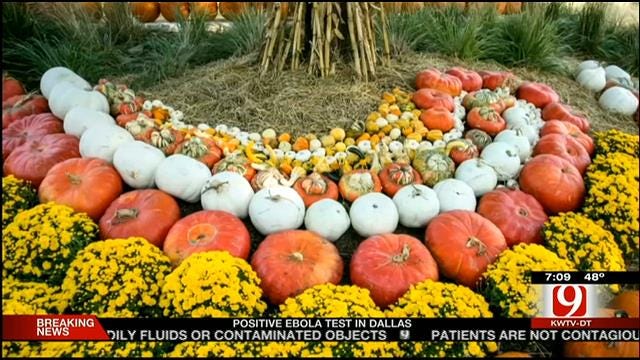 OKC Myriad Gardens Hosts Annual Pumpkinville Event