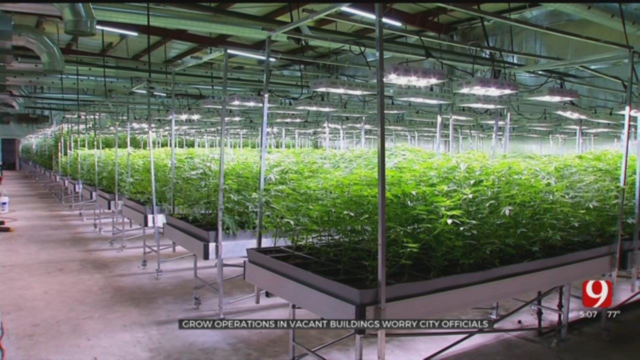 Medical Marijuana Grow Operations In Vacant Buildings A Concern For Del City Officials