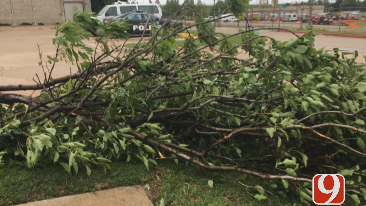 WEB EXTRA: Storm Damage At NW 10th And Portland In OKC