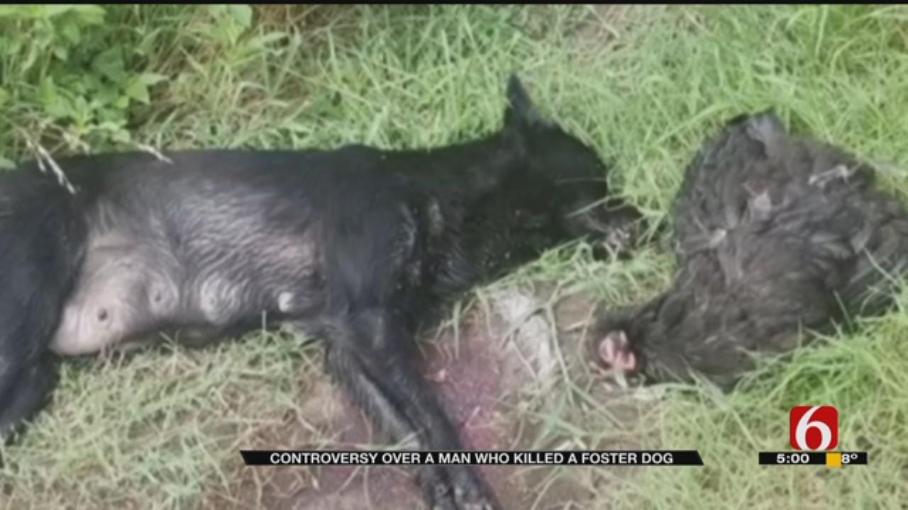Mayes County Man Shoots Dog To 'Protect Livestock', Spurring Controversy
