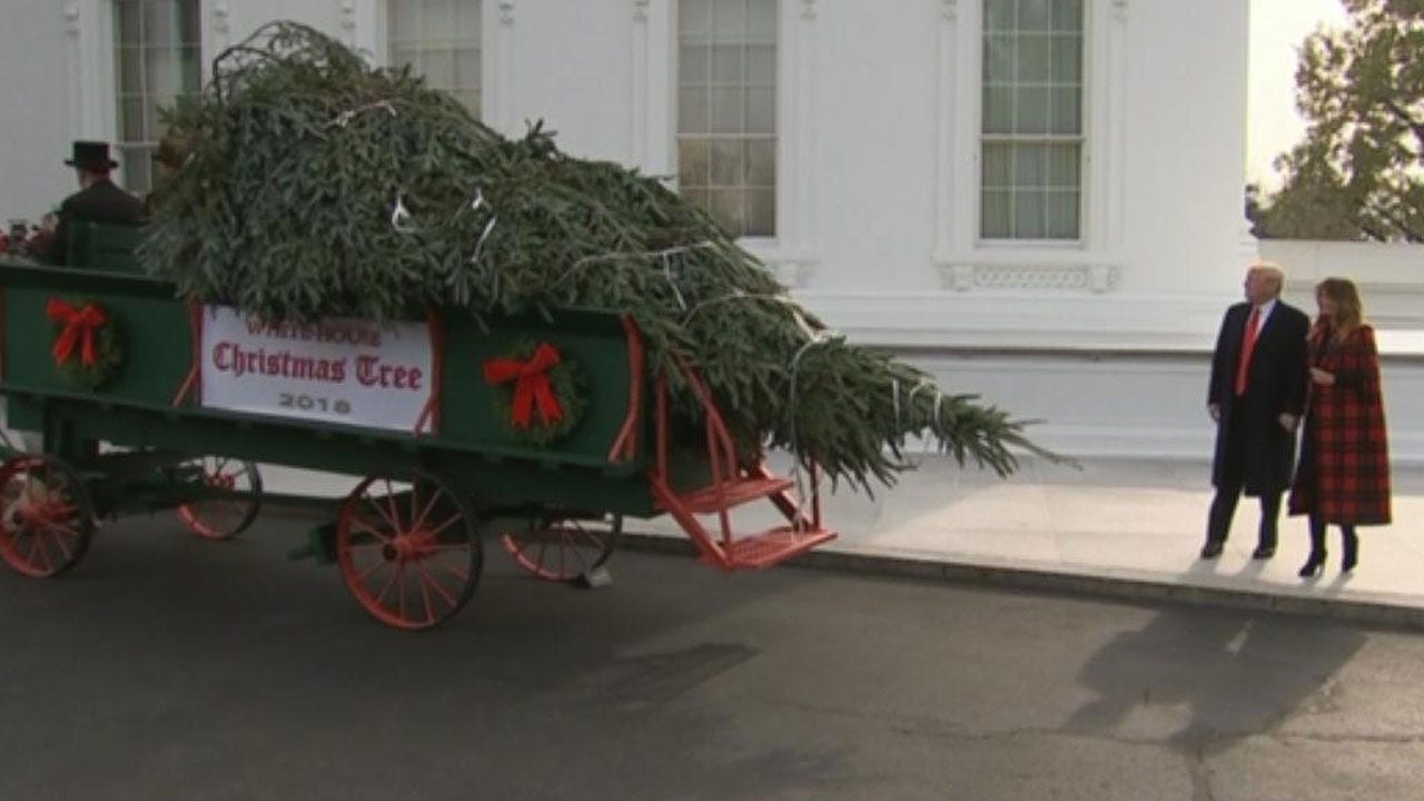 White House Christmas Tree Delivered